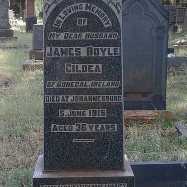 GILDEA James Boyle -1915