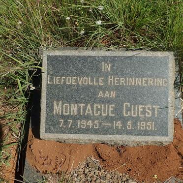 GUEST Montague 1945-1951