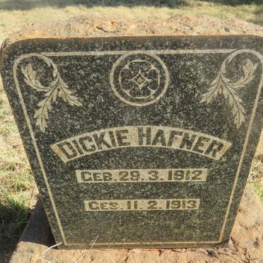 HAFNER Dickie 1912-1913