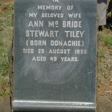 TILEY Ann McBride Stewart nee DONACHIE -1936