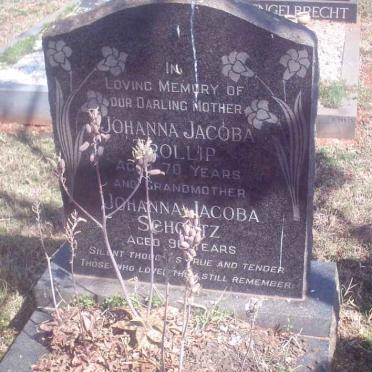 TROLLIP Johanna Jacoba :: SCHOLTZ Johanna Jacoba