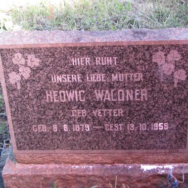 WALDNER Hedwig nee VETTER 1879-1959