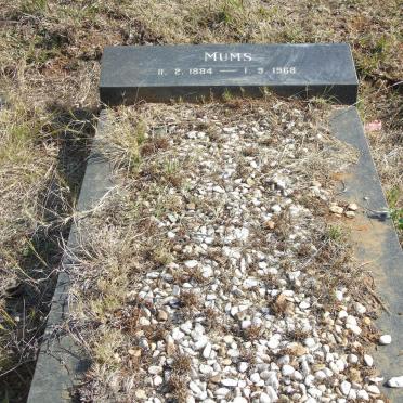 ? Mums 1884-1968