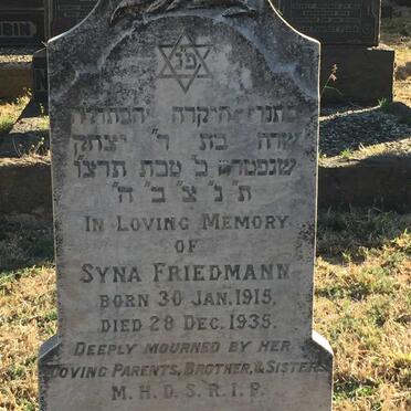 FRIEDMANN Syna 1915-1935