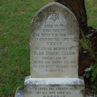 GOLDIN Alan Robert -1958