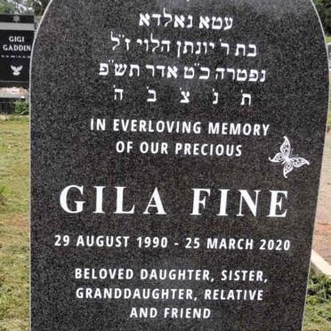 FINE Gila 1990-2020