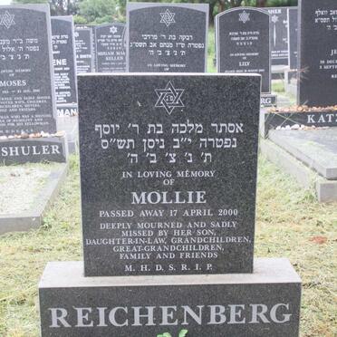 REICHENBERG Mollie -2000