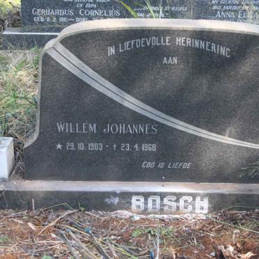 BOSCH Willem Johannes 1903-1968
