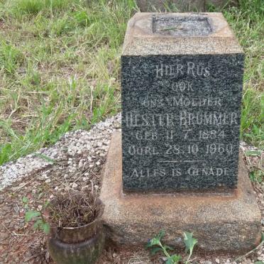 BRUMMER Hester 1884-1960 :: BRUMMER Wilhelmina 1917-1925