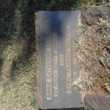 CHARLTON Annie Catherine 1857-1931 :: WILSON Cyril Peveril 1891-19??