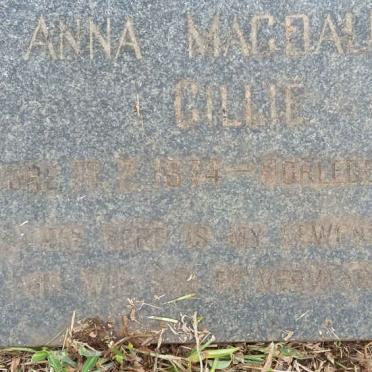 CILLIE Anna Magdalena 1874-1967