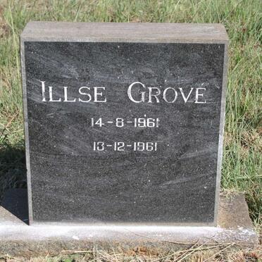 GROVE Illse 1961-1961 