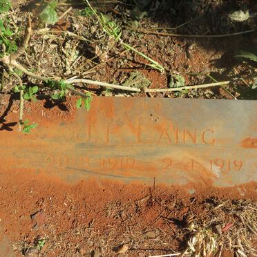 LAING J.F. 1919-1919