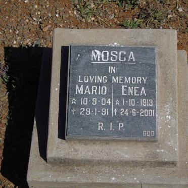 MOSCA Mario 1904-1991 &amp; Enea 1913-2001