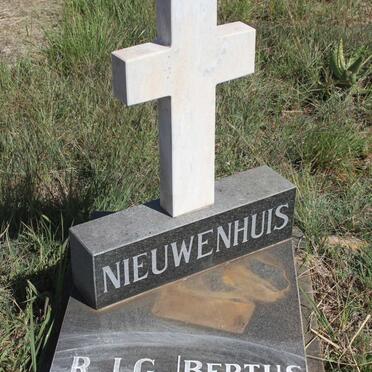 NIEUWENHUIS R.J.G. 1959-  :: NIEUWENHUIS Bertus 1979-1997