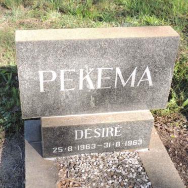 PEKEMA Desire 1963-1963