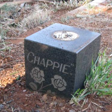 ? Chappie