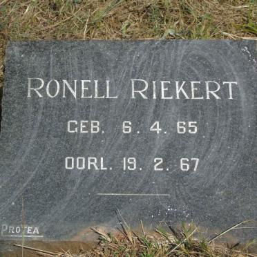 Ri - Surnames starting with the letters Ri