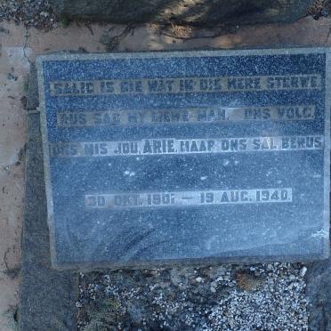 RIDDER Arie, de 1901-1940