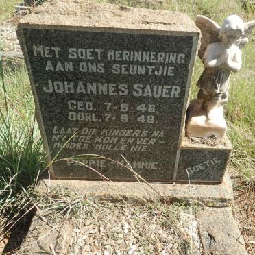 SAUER Johannes 1948-1948