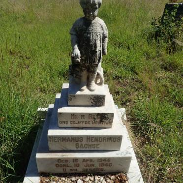 SACHSE Hermanus Hendrikus 1946-1946