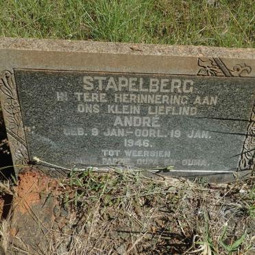 STAPELBERG Andre 1946-1946