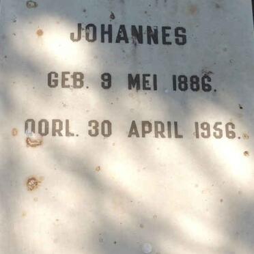 VERSTER Francois Johannes 1886-1956