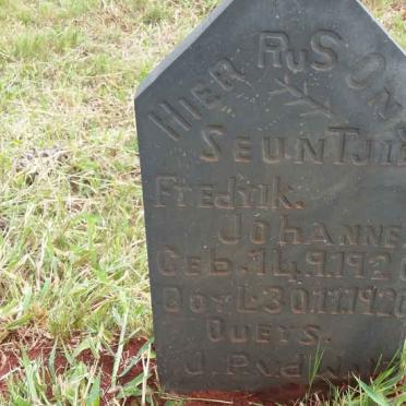 WALT Fredrik Johannes, v.d. 1920-1920