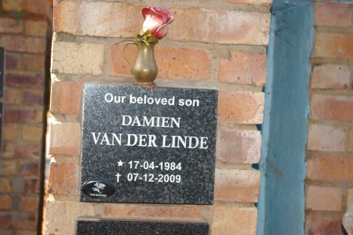 LINDE Damien, van der 1984-2009