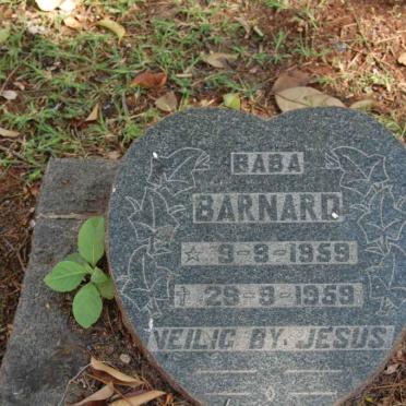 BARNARD Baba 1959-1959
