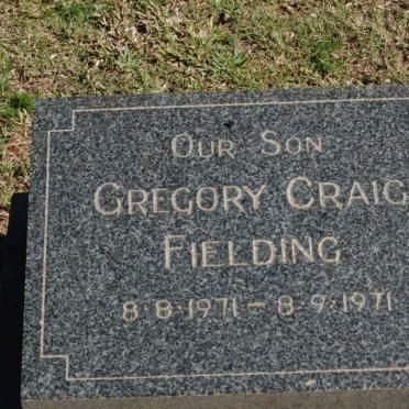 FIELDING Gregory Craig 1971-1971