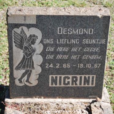 NIGRINI Desmond 1965-1967
