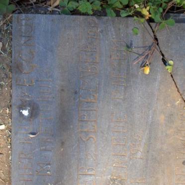 PRETORIUS M.M. 1912-1935