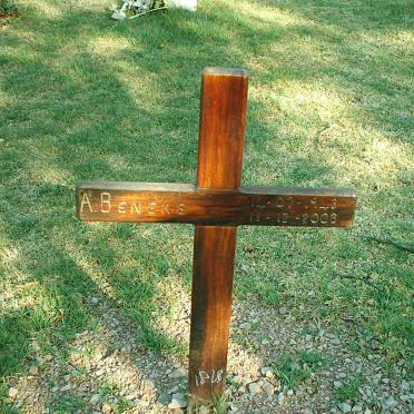 BENEKE A. 1943-2003