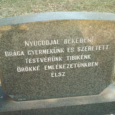 BAJKAY Tibor 1953-1970