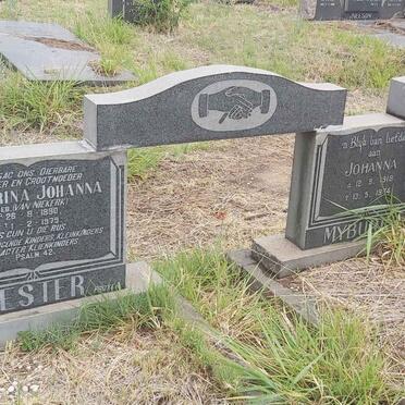 BESTER Hendrina Johanna nee VAN NIEKERK 1890-1979 :: MYBURGH Johanna 1918-1974  :: MYBURGH Jacobus Abraham 1941-1975 