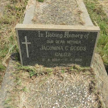 DODDS Jacomina C. nee CALITZ 1894-1968