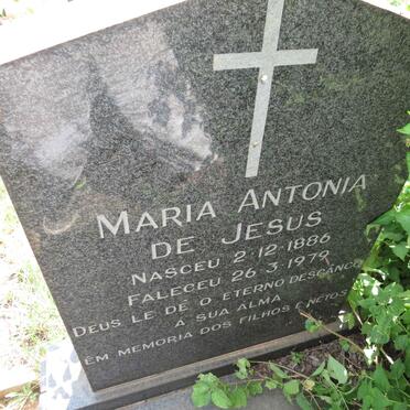 JESUS Maria Antonia, de 1886-1979