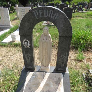 PEDRO Joao Goncalves 1926-1978 _1