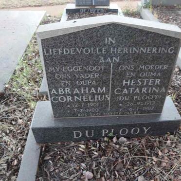 PLOOY Abraham Cornelius, du 1901-1980 & Hester Catarina DU PLOOY 1913-1982