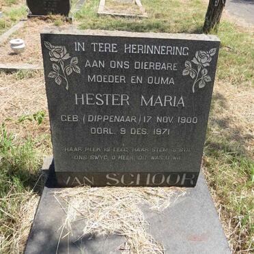 SCHOOR Hester Maria, van nee DIPPENAAR 1900-1971