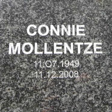 MOLLENTZE Connie 1949-2008