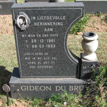 BRUYN Gideon, de 1961-1993