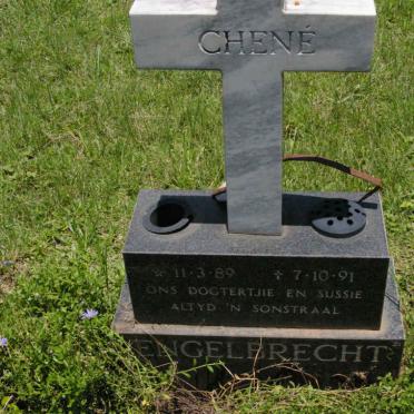 ENGELBRECHT Chené 1989-1991