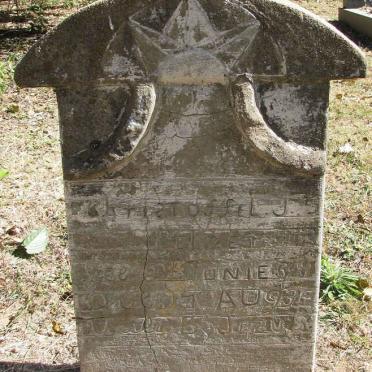 MELZER Christoffel J. ?-?