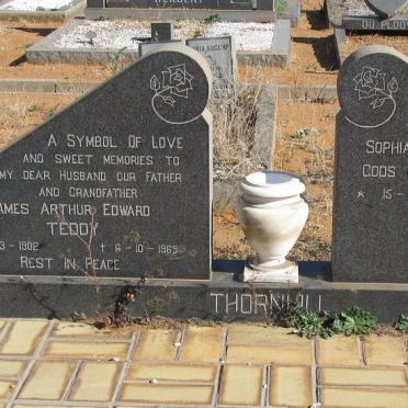 T - Vanne :: Surnames - T
