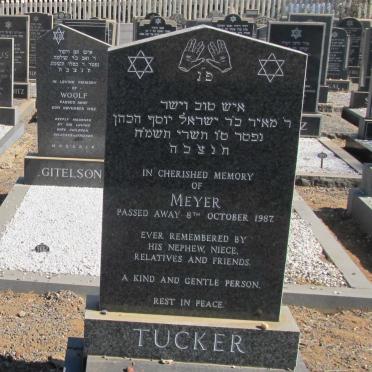TUCKER Meyer -1987