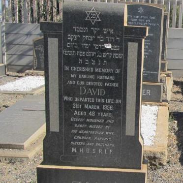 ZUK David -1956