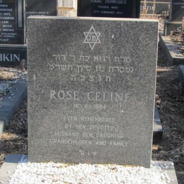 CELINE Rose -1984