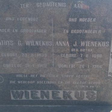 WIENEKUS Mathys G. 1879-1962 &amp; Anna J. BOTHA 1886-1966